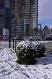 Фотография ЖК