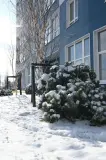 Фотография ЖК